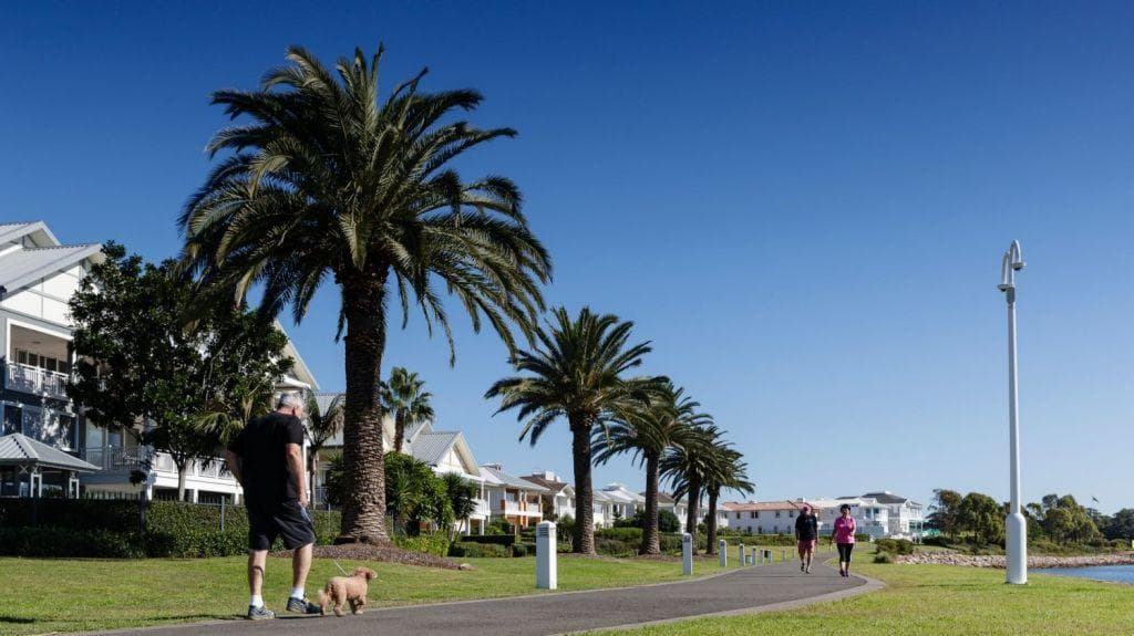 Walkers under the palm trees on the Breakfast Point foreshore
