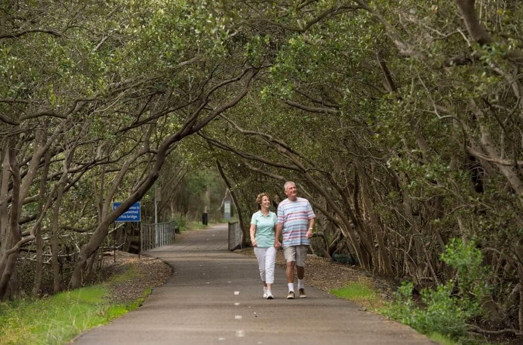 Walkers on a tree-lined path in Liberty Grove